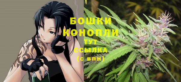 бутират Бородино
